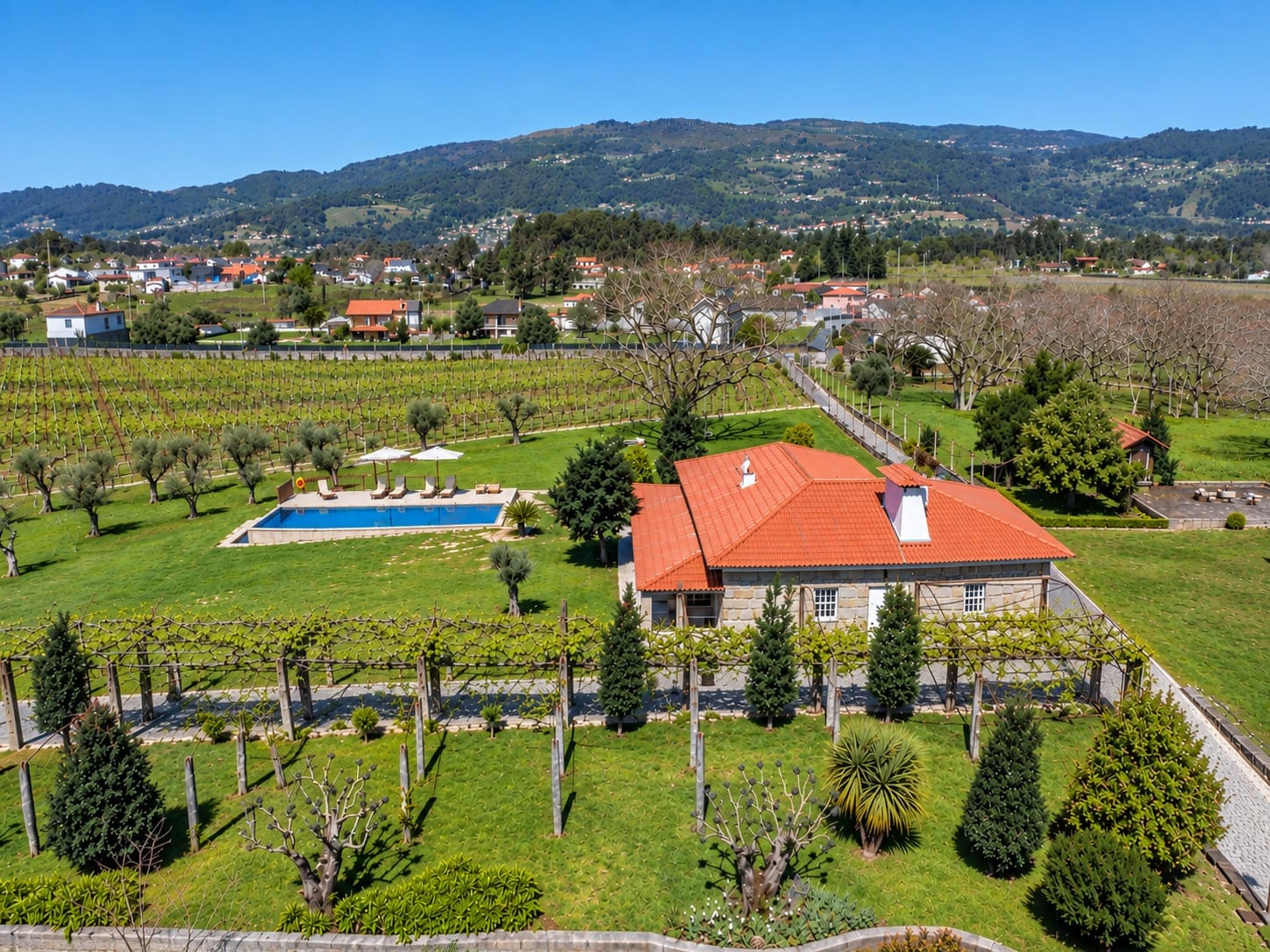 Aerial view of Casa da Quinta and pool