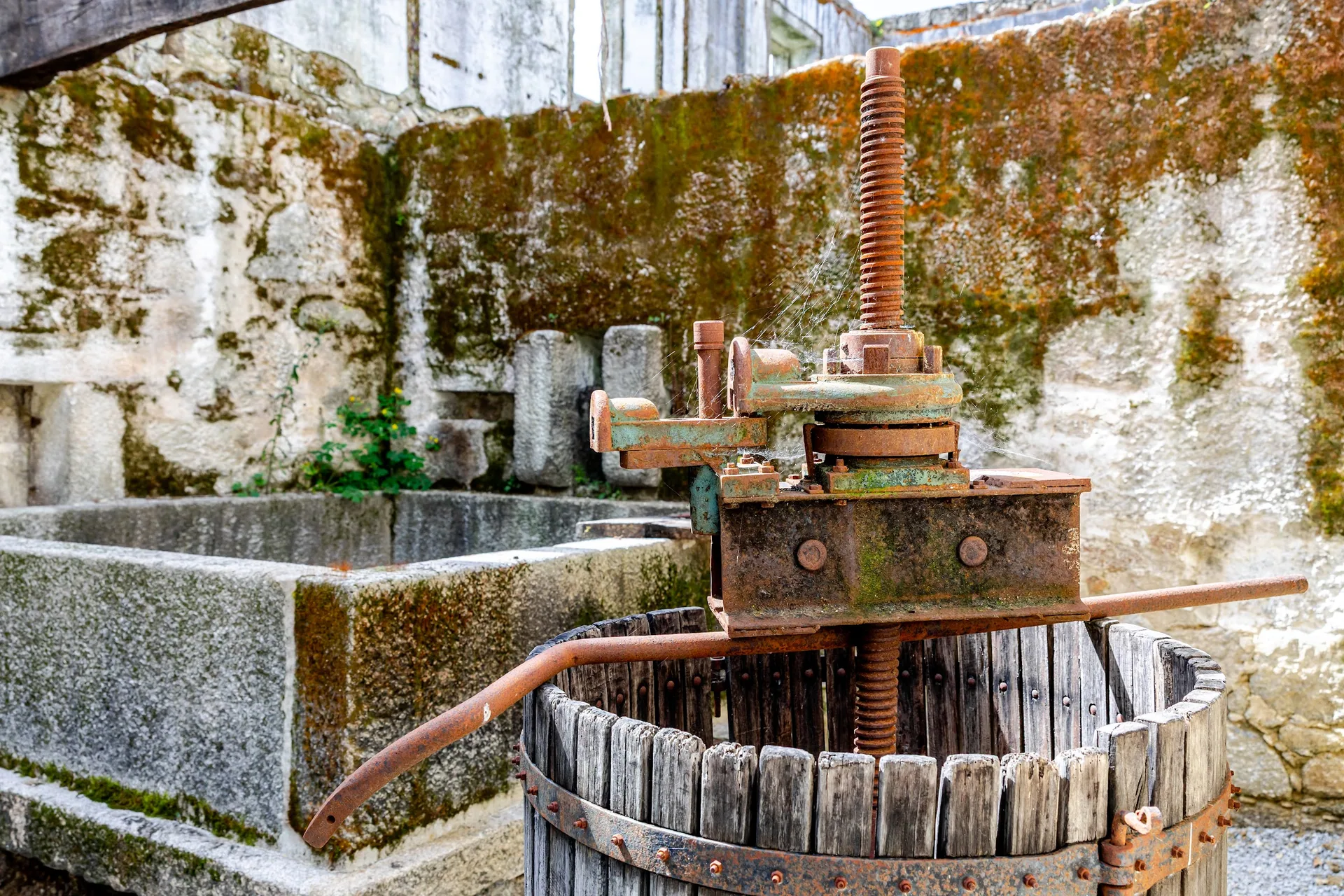 Old granite wine press