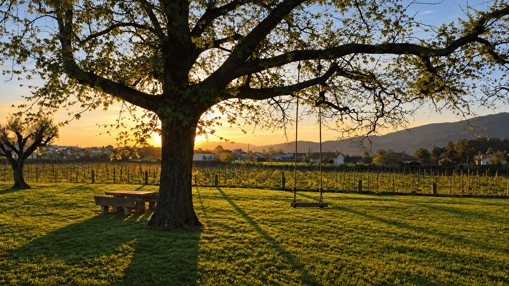 Quinta de Grejufe swing at sunset