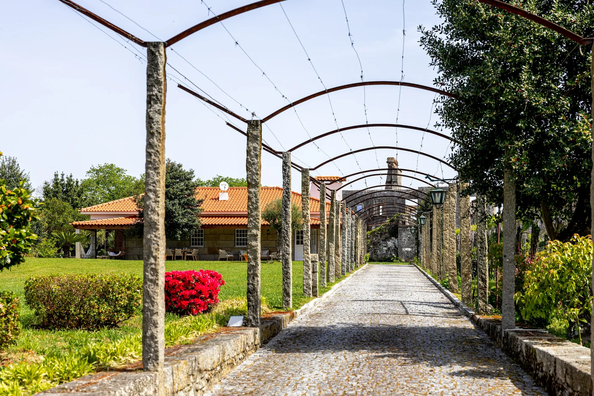 Vine pergola path leading to the house