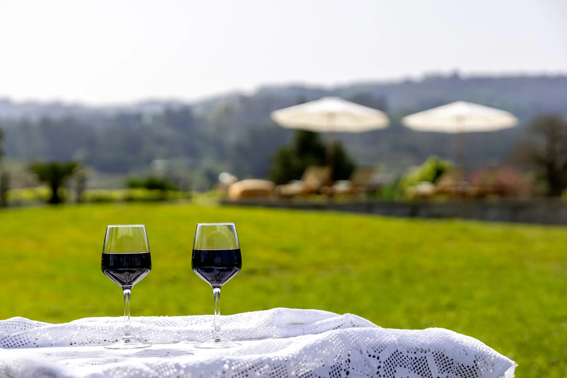 Two glasses of vinho verde on the lawn