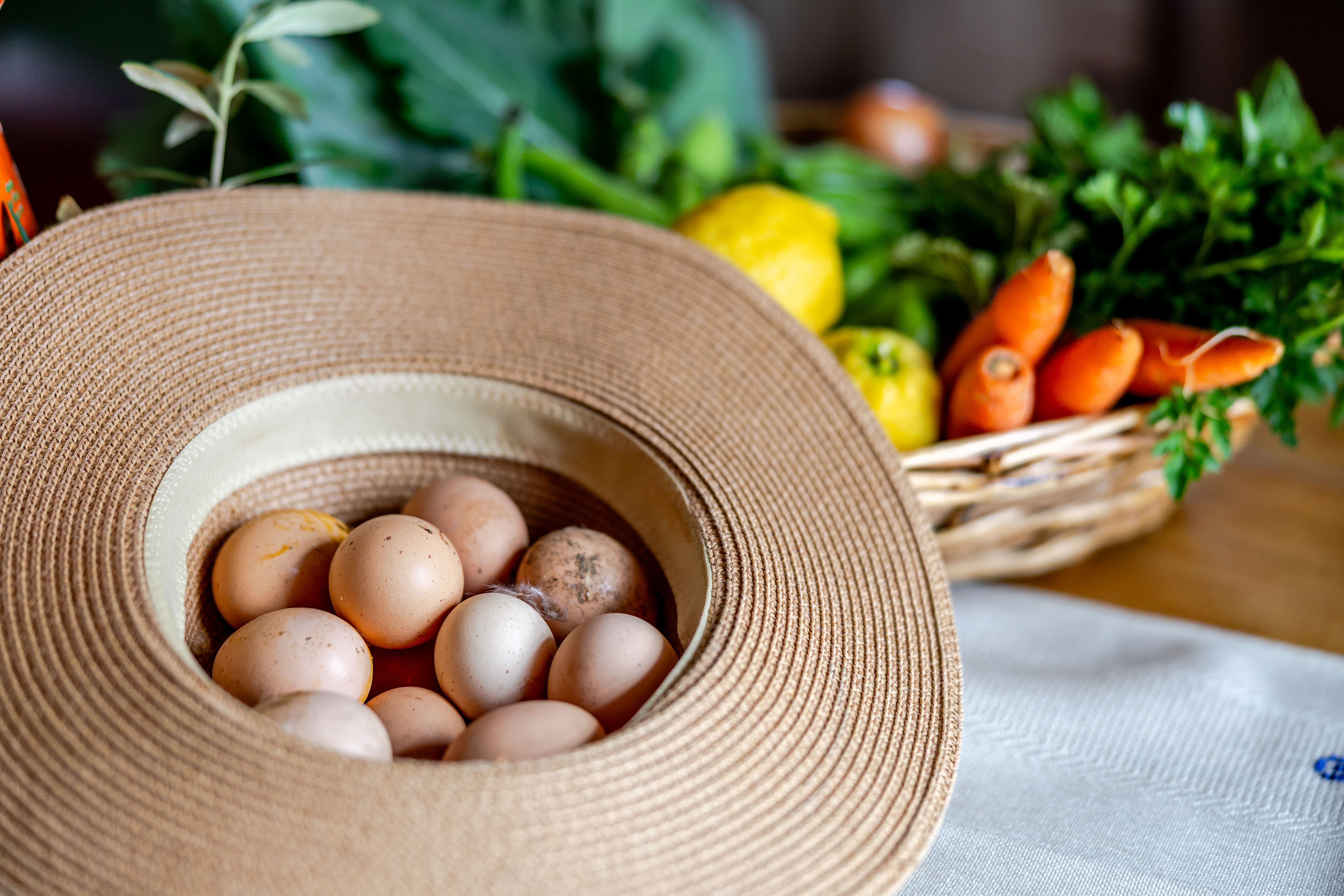 Kitchen garden produce and eggs on the table